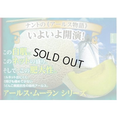 画像2: 送料無料　[メロン]　アールス・ムーラン早春晩秋　100粒　ナント種苗(株)