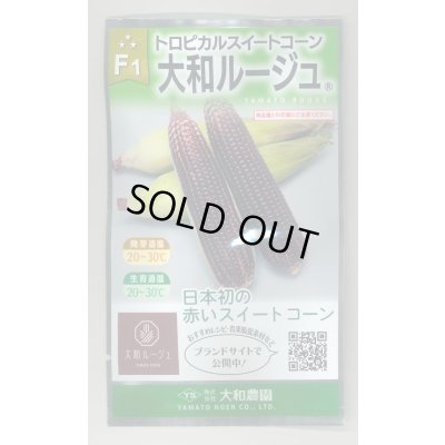 画像1: 送料無料　[とうもろこし]　大和ルージュ　10ml(およそ40粒)　（株）大和農園