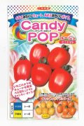 送料無料　[トマト/ミニトマト]　キャンディポップ　ルージュ　7粒　ナント種苗(株)