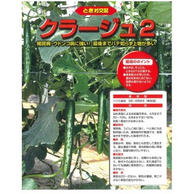 画像2: [キュウリ]　送料無料！クラージュ2　（350粒）　（株）ときわ研究場