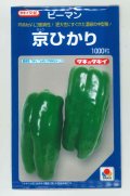 送料無料　[ピーマン]　京ひかり　1000粒　タキイ種苗(株)