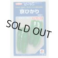 送料無料　[ピーマン]　京ひかり　1000粒　タキイ種苗(株)