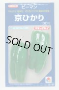 送料無料　[ピーマン]　京ひかり　1000粒　タキイ種苗(株)