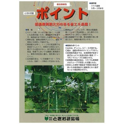 画像3: [キュウリ]　送料無料！ポイント　350粒　（株）ときわ研究場