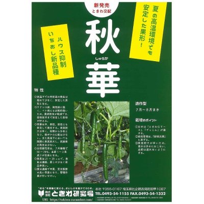 画像3: [キュウリ]　送料無料！秋華　350粒　（株）ときわ研究場