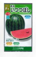 送料無料　[スイカ]　小玉スイカ　いつつぼし　7粒　大和農園
