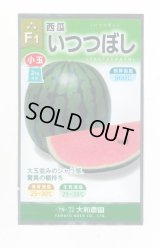 送料無料　[スイカ]　小玉スイカ　いつつぼし　7粒　（株）大和農園