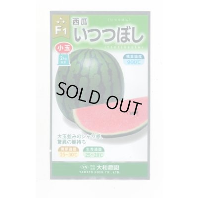 画像1: 送料無料　[スイカ]　小玉スイカ　いつつぼし　7粒　大和農園