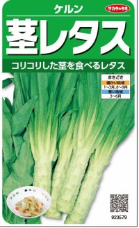 [レタス]　ケルン　（およそ350粒）サカタのタネ（株）実咲300