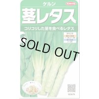 送料無料　[レタス]　ケルン　(およそ350粒)(株)サカタのタネ　実咲350（003029）