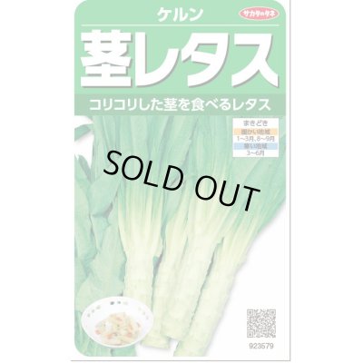 画像1: 送料無料　[レタス]　ケルン　(およそ350粒)(株)サカタのタネ　実咲350（003029）