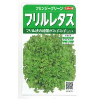 送料無料　[レタス]　フリンジーグリーン(フリルレタス)およそ1200粒　(株)サカタのタネ　実咲350（003036）