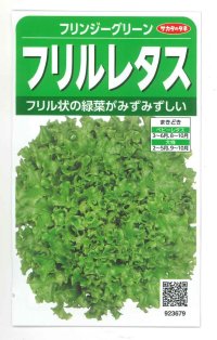 [レタス]　フリンジーグリーン（フリルレタス）およそ1200粒　サカタのタネ（株）　実咲300