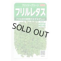 送料無料　[レタス]　フリンジーグリーン(フリルレタス)およそ1200粒　(株)サカタのタネ　実咲350（003036）