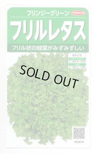 送料無料　[レタス]　フリンジーグリーン(フリルレタス)およそ1200粒　(株)サカタのタネ　実咲350（003036）