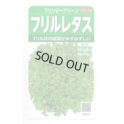 画像1: [レタス] フリンジーグリーン(フリルレタス)およそ1200粒 (株)サカタのタネ 実咲350(003036)