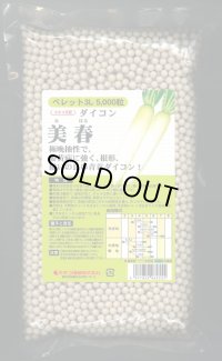 [大根]　美春　ペレット種子5000粒　カネコ種苗（株）