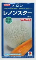 送料無料　[メロン]レノンスター　100粒　タキイ種苗