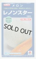 送料無料　[メロン]レノンスター　100粒　タキイ種苗