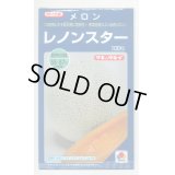 送料無料　[メロン]レノンスター　100粒　タキイ種苗