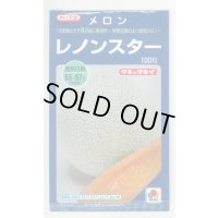 [メロン]レノンスター　100粒　タキイ種苗