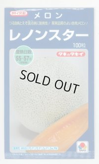 送料無料　[メロン]レノンスター　100粒　タキイ種苗