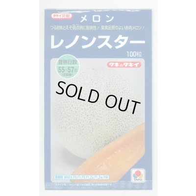 画像1: 送料無料　[メロン]レノンスター　100粒　タキイ種苗