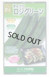 送料無料　[キュウリ]　ロジグリーン　17粒　（株）大和農園