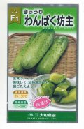 送料無料　[キュウリ]　わんぱく坊主　10粒　大和農園