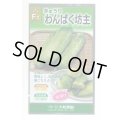 送料無料　[キュウリ]　わんぱく坊主　10粒　（株）大和農園
