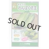 送料無料　[キュウリ]　わんぱく坊主　10粒　（株）大和農園