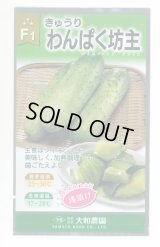 送料無料　[キュウリ]　わんぱく坊主　10粒　（株）大和農園