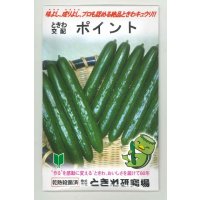 送料無料　[キュウリ]　ポイント　350粒　(株)ときわ研究場