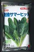 [ほうれんそう]　晩抽サマーヒット　(種子サイズM)3万粒　タキイ種苗