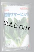 [ほうれんそう]　晩抽サマーヒット　(種子サイズM)3万粒　タキイ種苗