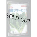 [ほうれんそう]　晩抽サマーヒット　(種子サイズM)3万粒　タキイ種苗