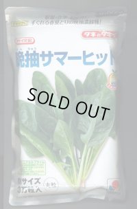 [ほうれんそう]　晩抽サマーヒット　(種子サイズM)3万粒　タキイ種苗