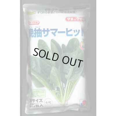 画像1: [ほうれんそう]　晩抽サマーヒット　(種子サイズM)3万粒　タキイ種苗