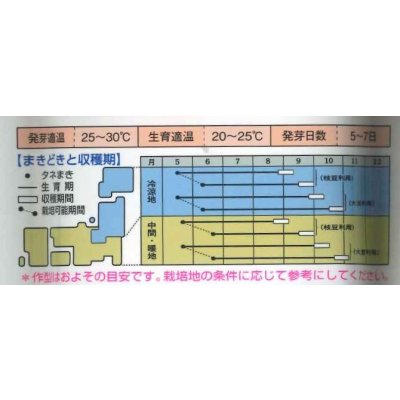 画像4: 送料無料　[枝豆]　鶴の子大豆　60ml(およそ70粒)　タキイ種苗　GF