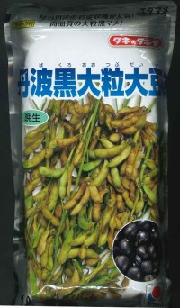 [枝豆]　丹波黒大粒大豆　1L　タキイ種苗