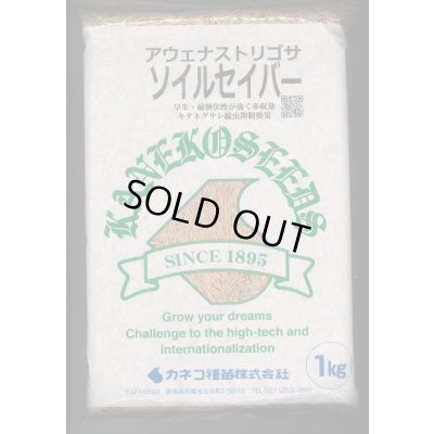 画像1: [緑肥]　ソイルセーバー　1kg　カネコ種苗(株)