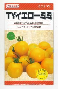 [トマト/ミニトマト]　TYイエローミミ　100粒　　カネコ交配　