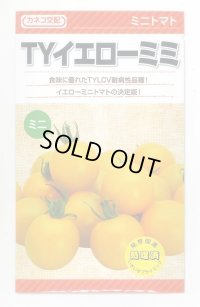 送料無料　[トマト/ミニトマト]　TYイエローミミ　100粒　カネコ種苗（株）