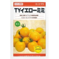 [トマト/ミニトマト]　送料無料！　TYイエローミミ　1000粒　　カネコ交配　