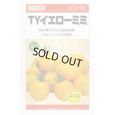 画像1: 送料無料　[トマト/ミニトマト]　TYイエローミミ　1000粒　カネコ種苗（株）