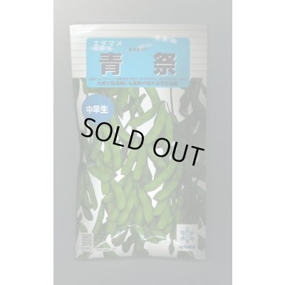 画像1: 送料無料　[枝豆]　青祭　70ml(およそ130粒)雪印種苗(株)