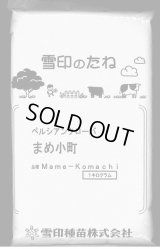 [緑肥]　ペルシアンクローバ　まめ小町　1kg　雪印種苗(株)