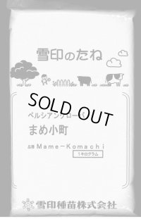 [緑肥]　ペルシアンクローバ　まめ小町　1kg　雪印種苗(株)