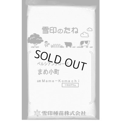 画像1: [緑肥]　ペルシアンクローバ　まめ小町　1kg　雪印種苗(株)