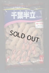 [落花生]　千葉半立　1L(約700粒)　渡辺農事（株）